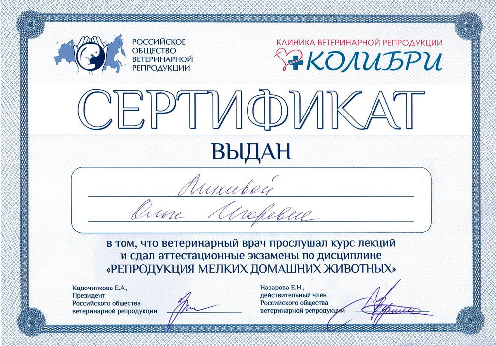 Документ или сертификат