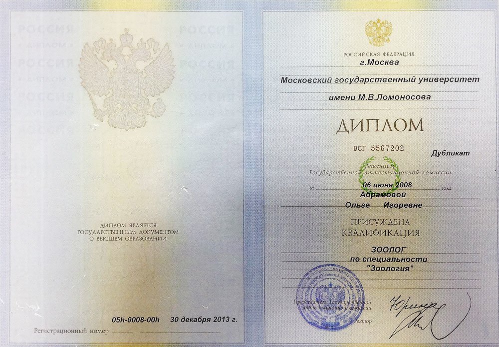 Документ или сертификат