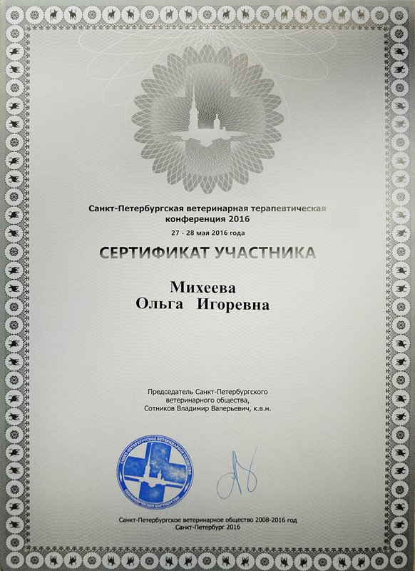 Документ или сертификат