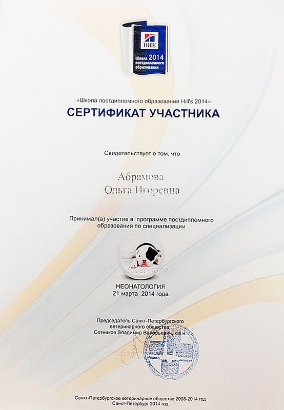 Документ или сертификат