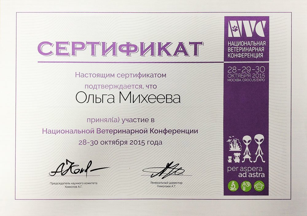 Документ или сертификат