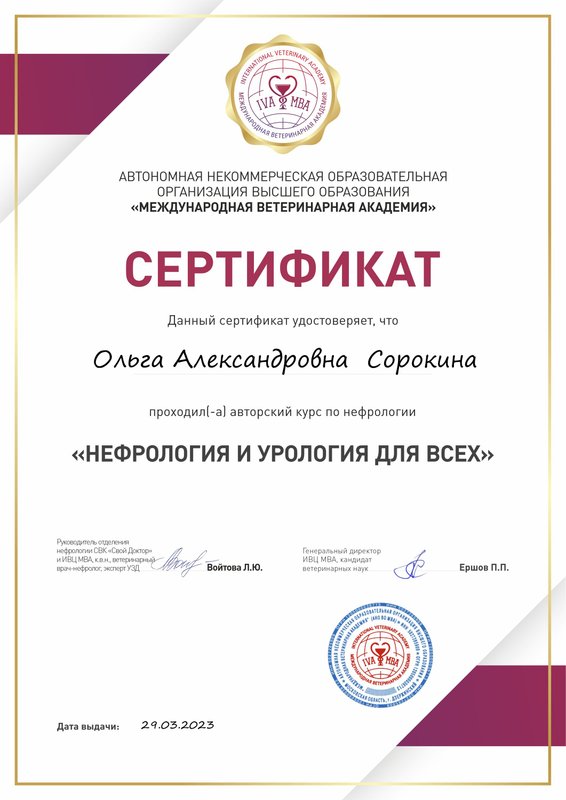 Документ или сертификат