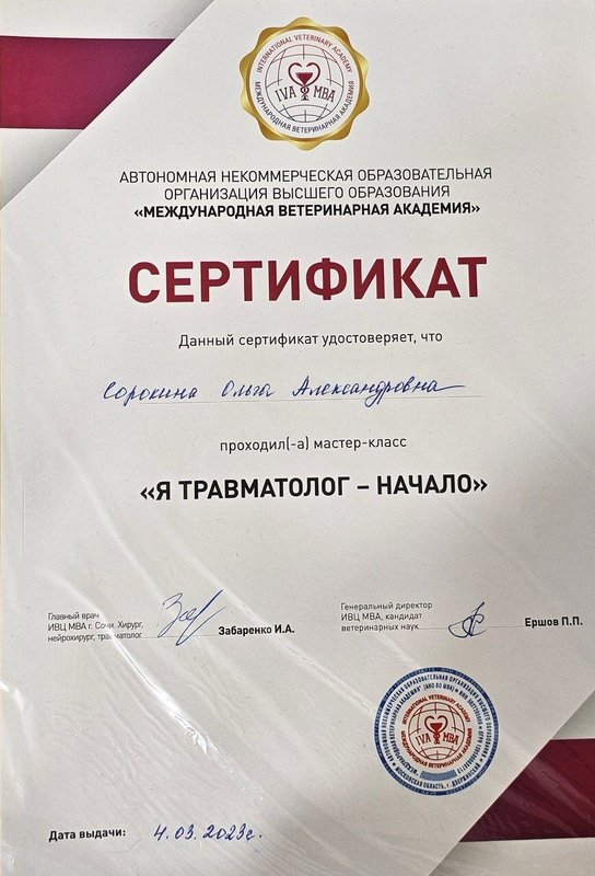 Документ или сертификат