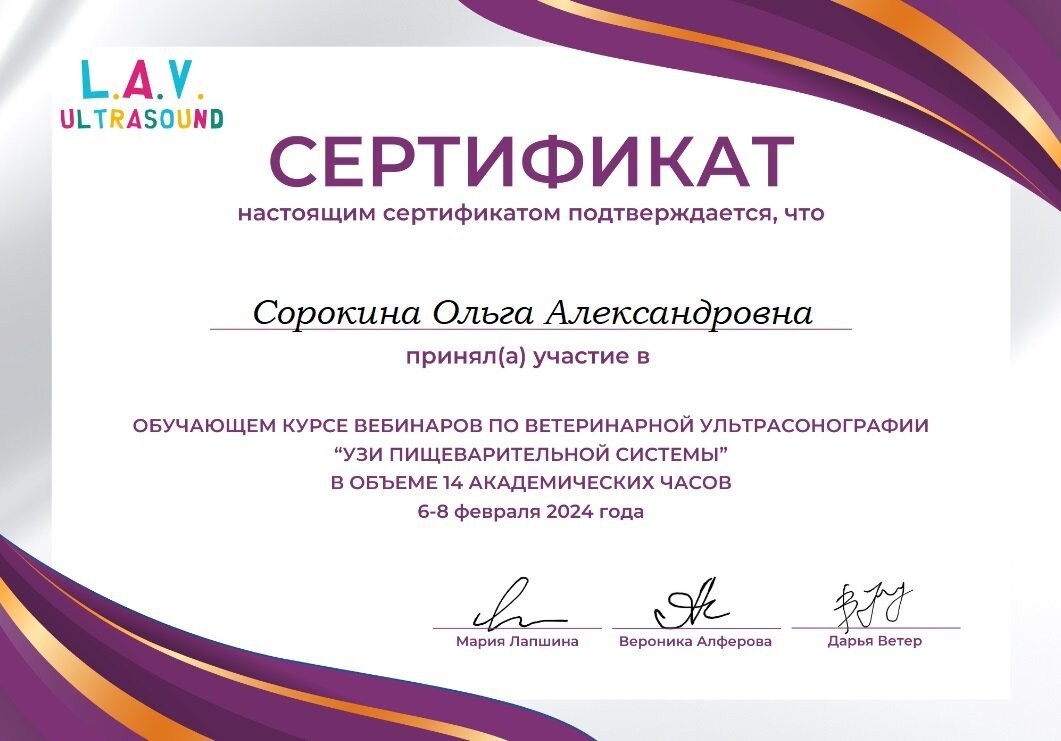 Документ или сертификат