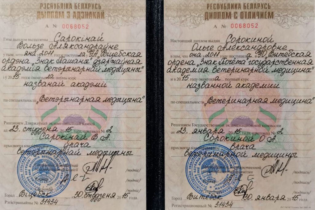 Документ или сертификат