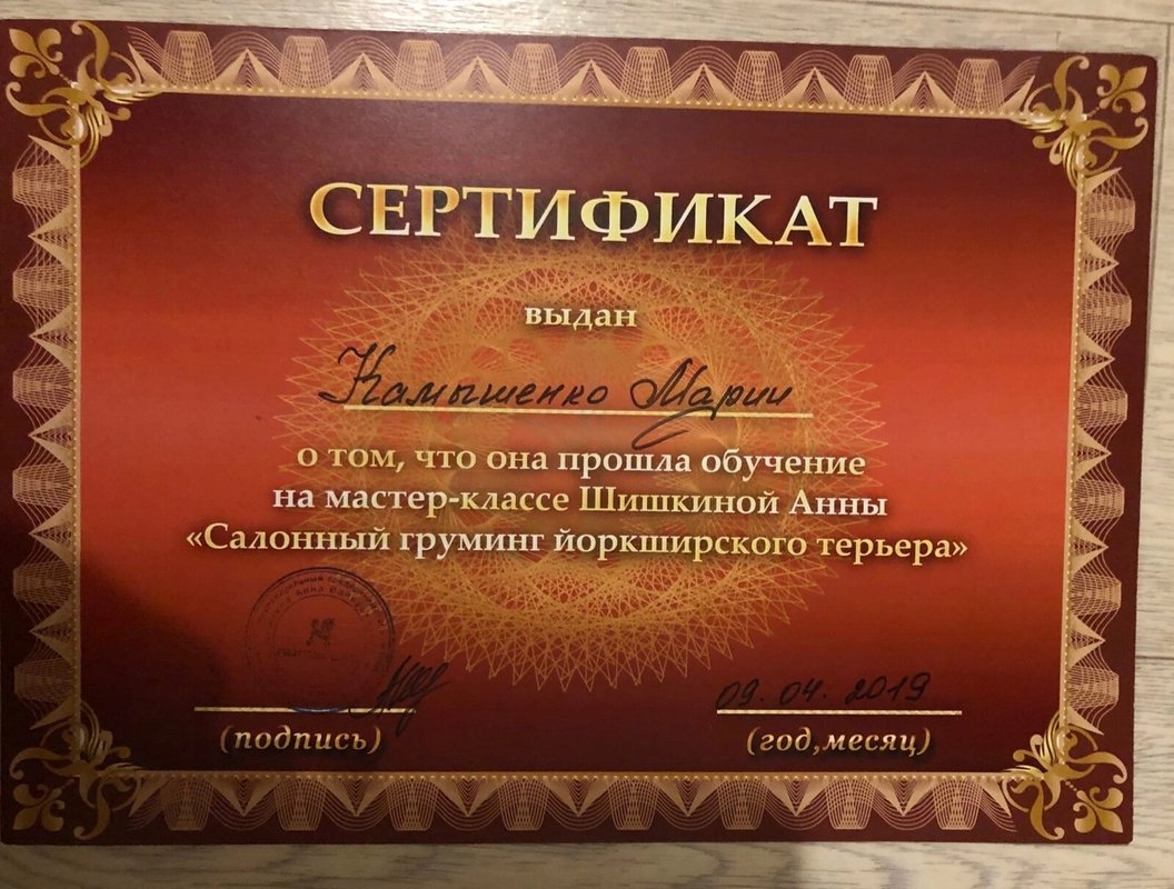 Документ или сертификат