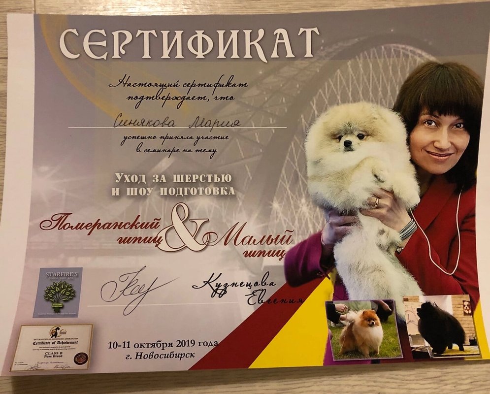 Документ или сертификат