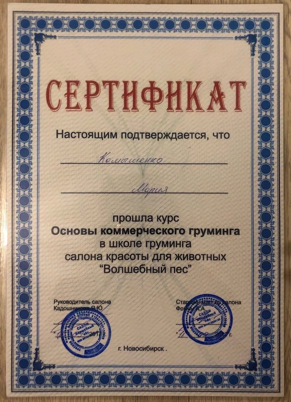 Документ или сертификат
