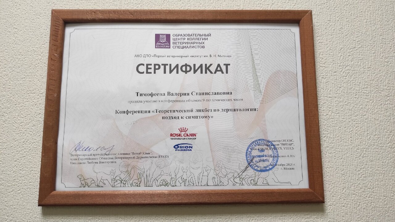 Документ или сертификат