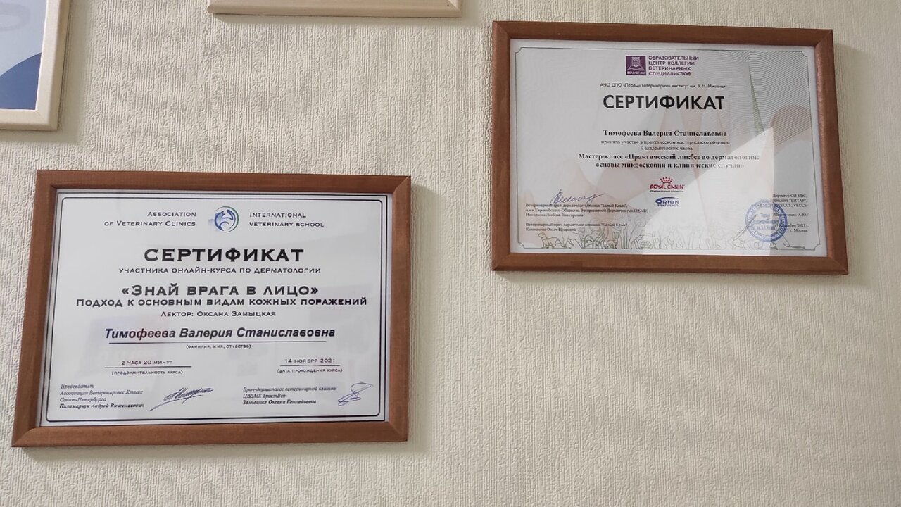 Документ или сертификат