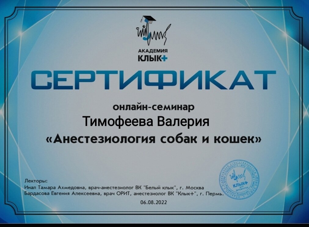 Документ или сертификат