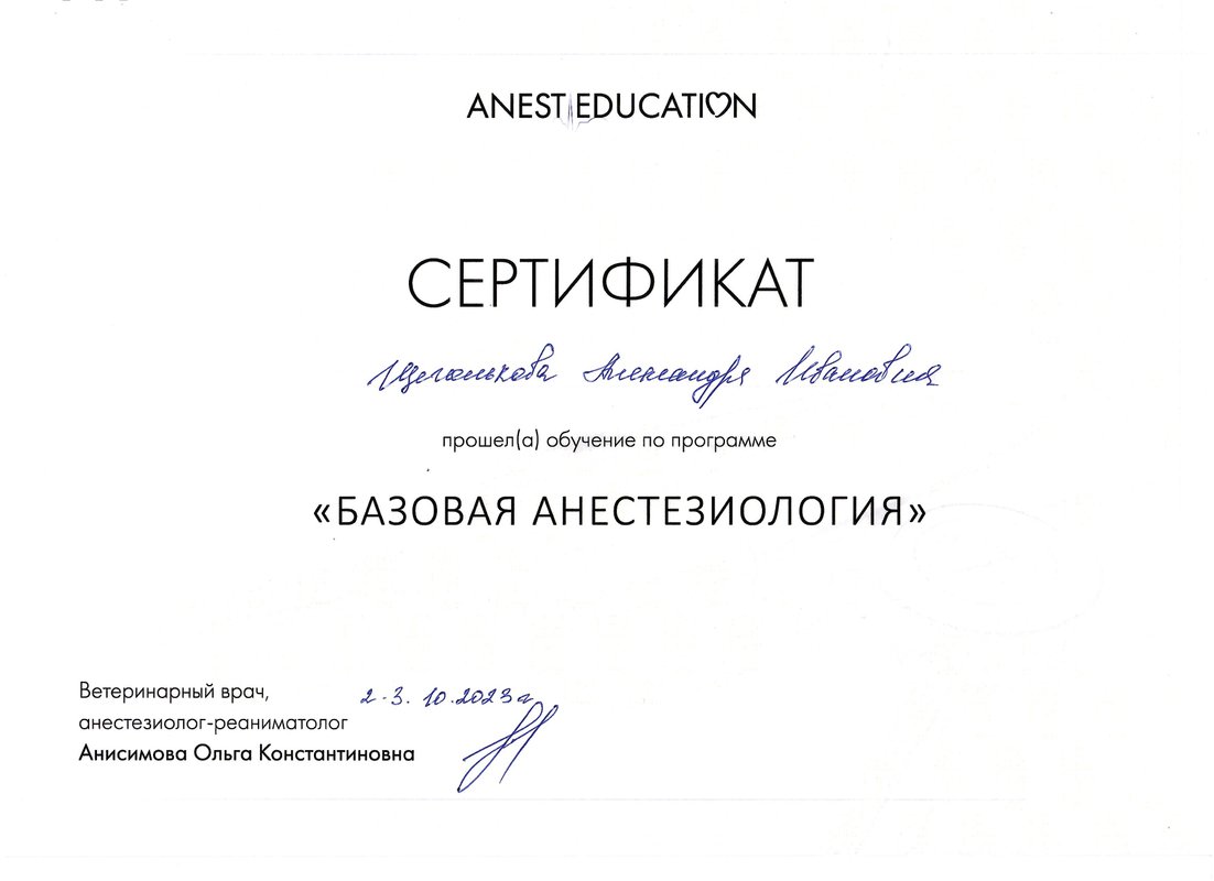 Документ или сертификат