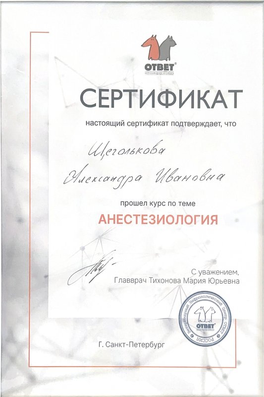 Документ или сертификат