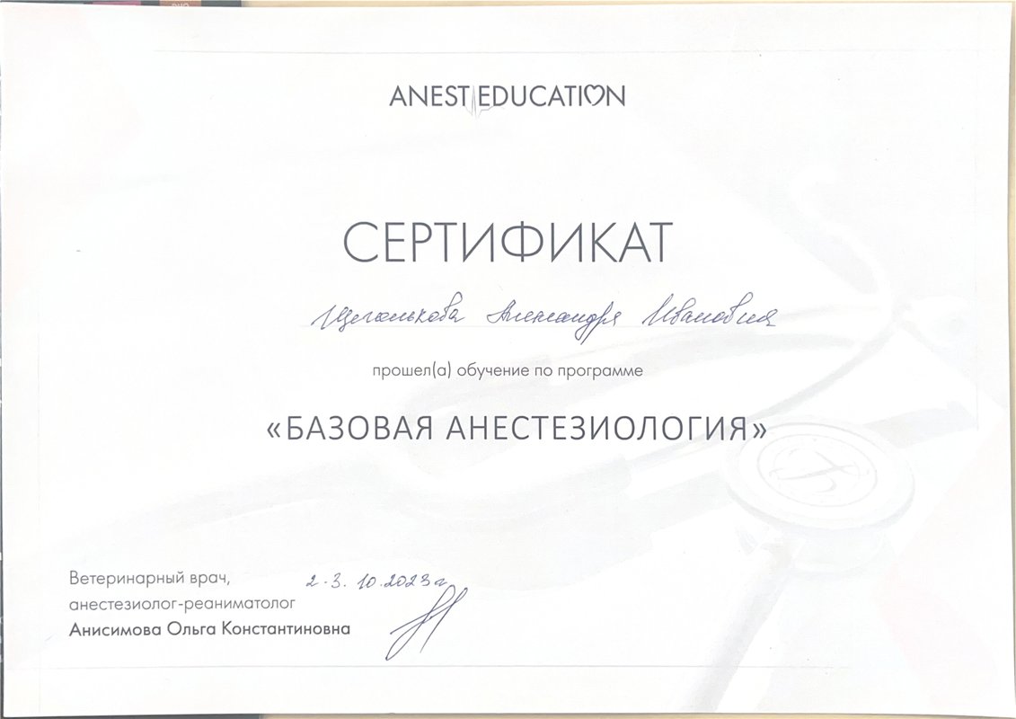 Документ или сертификат