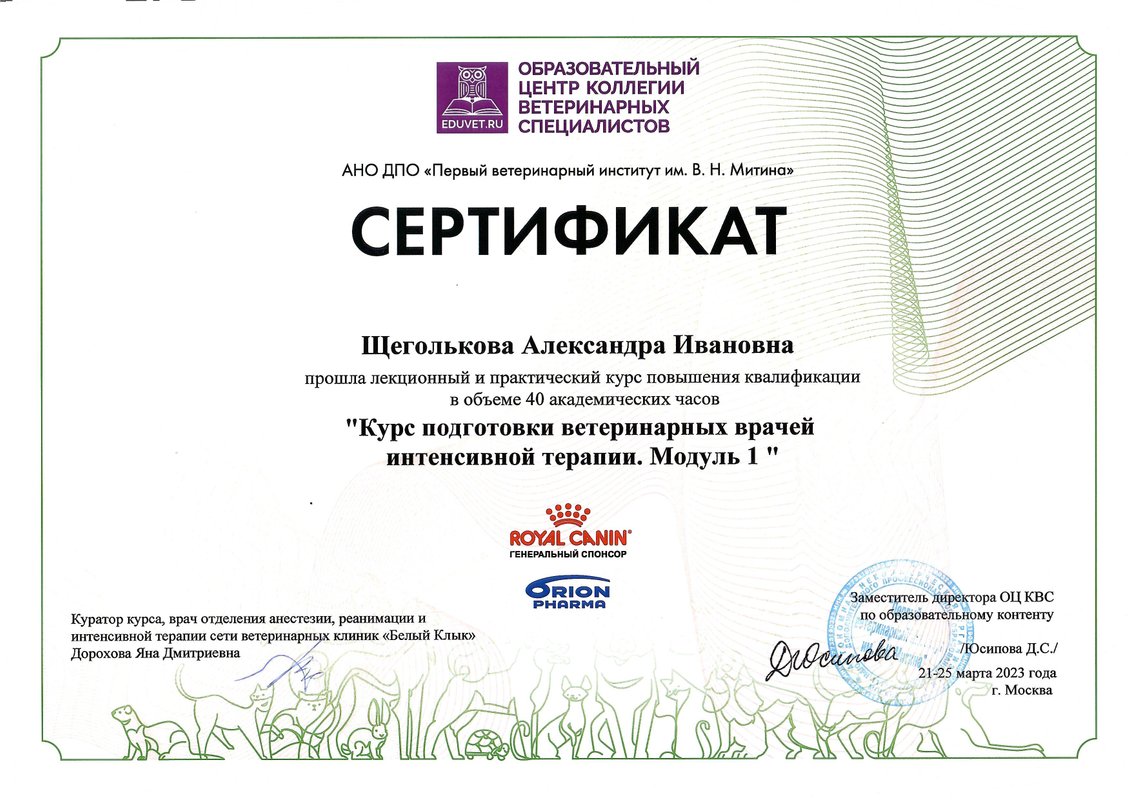 Документ или сертификат