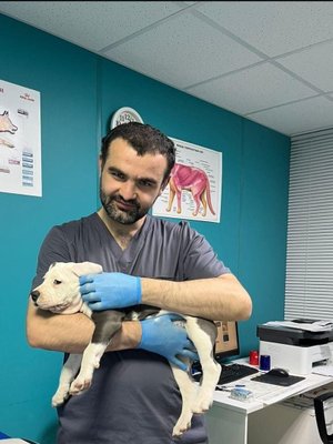 Фото врача Цанава Махути Теймуразович