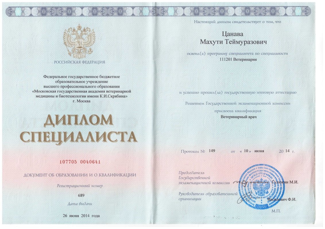 Документ или сертификат