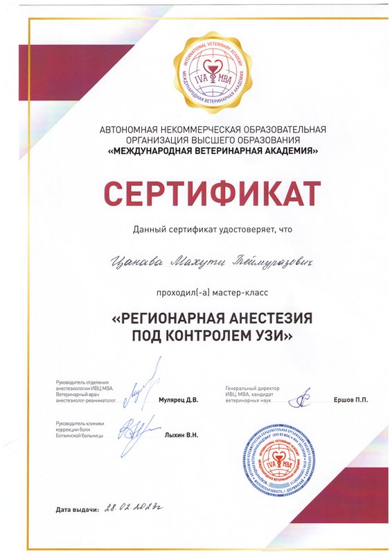 Документ или сертификат