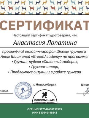Фото врача Лопатина Анастасия Алексеевна