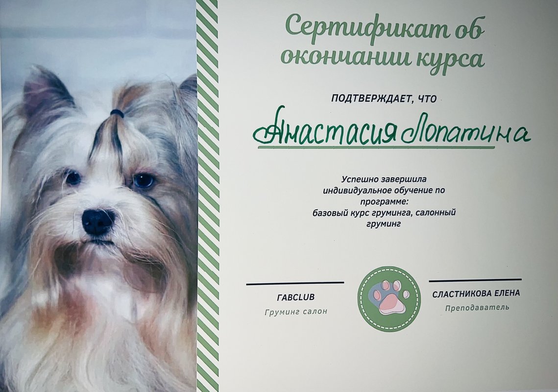 Документ или сертификат