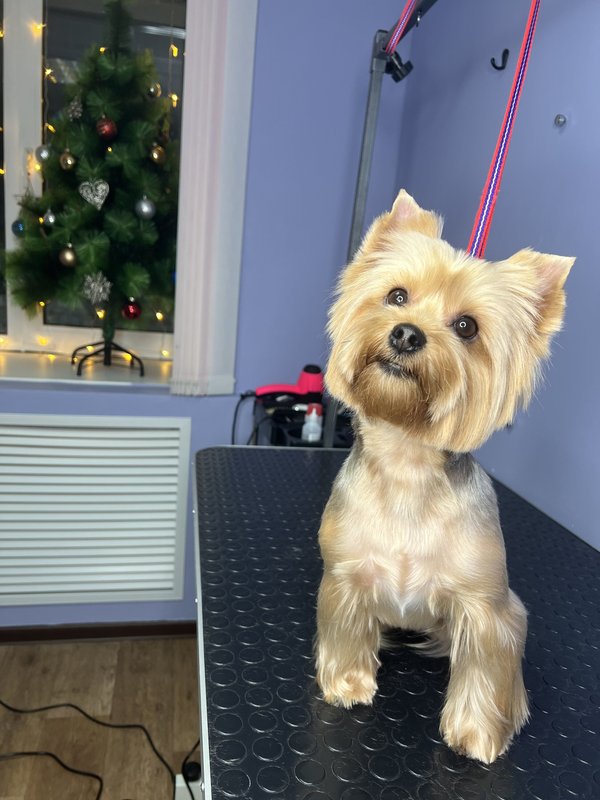 Фото врача