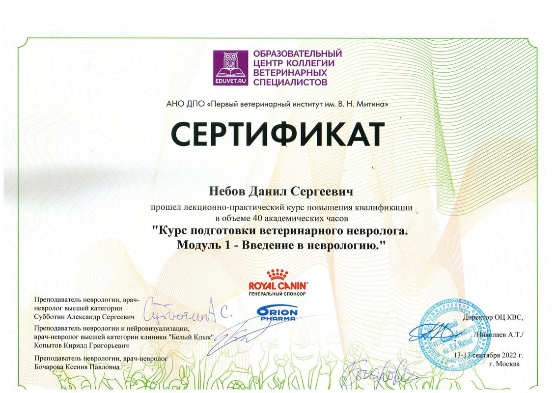 Документ или сертификат