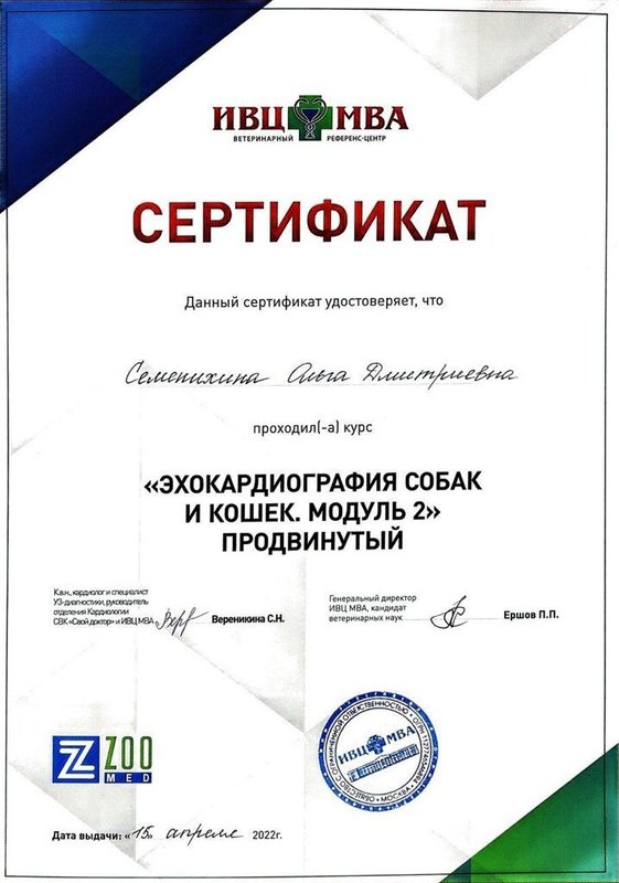 Документ или сертификат