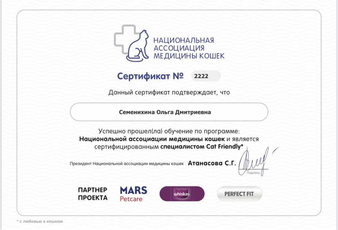 Документ или сертификат