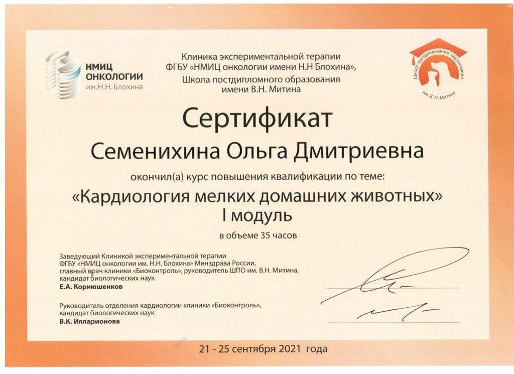 Документ или сертификат