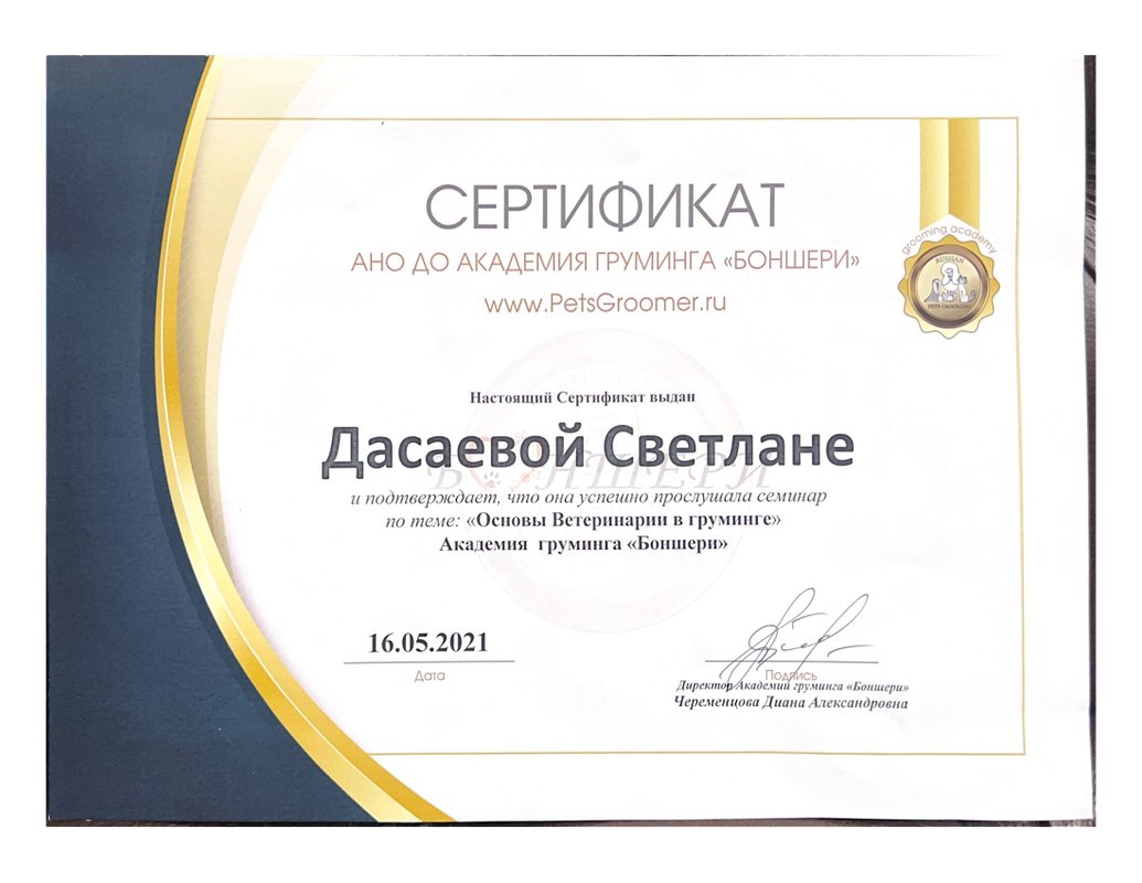 Документ или сертификат