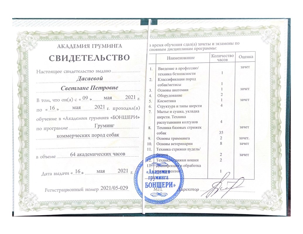 Документ или сертификат
