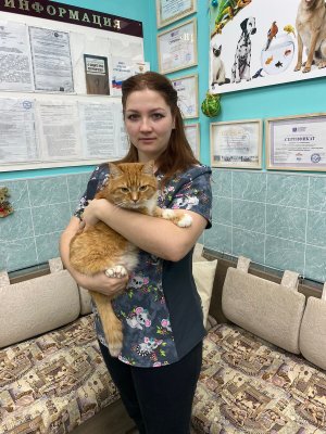 Фото врача Проездова Анастасия