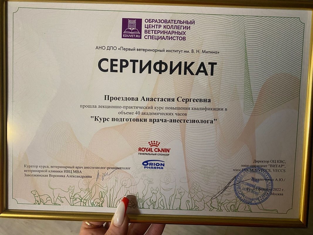 Документ или сертификат
