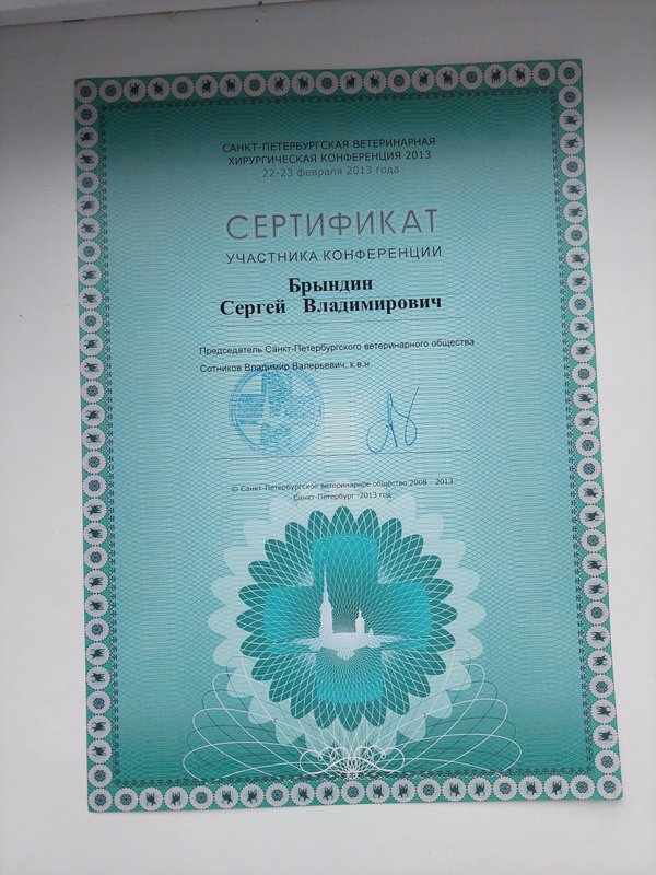 Документ или сертификат