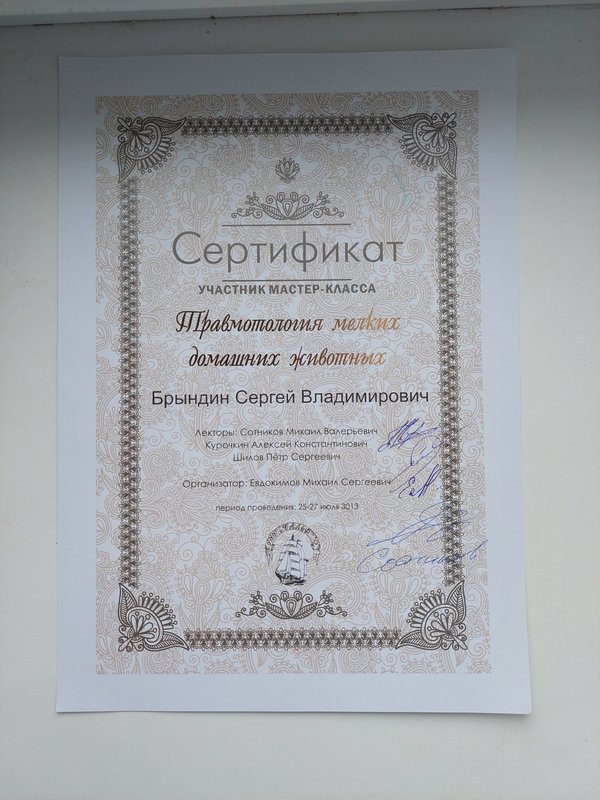 Документ или сертификат