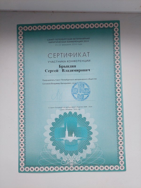 Документ или сертификат