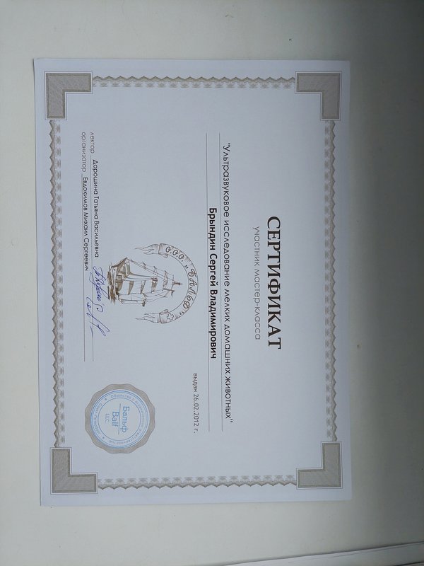 Документ или сертификат