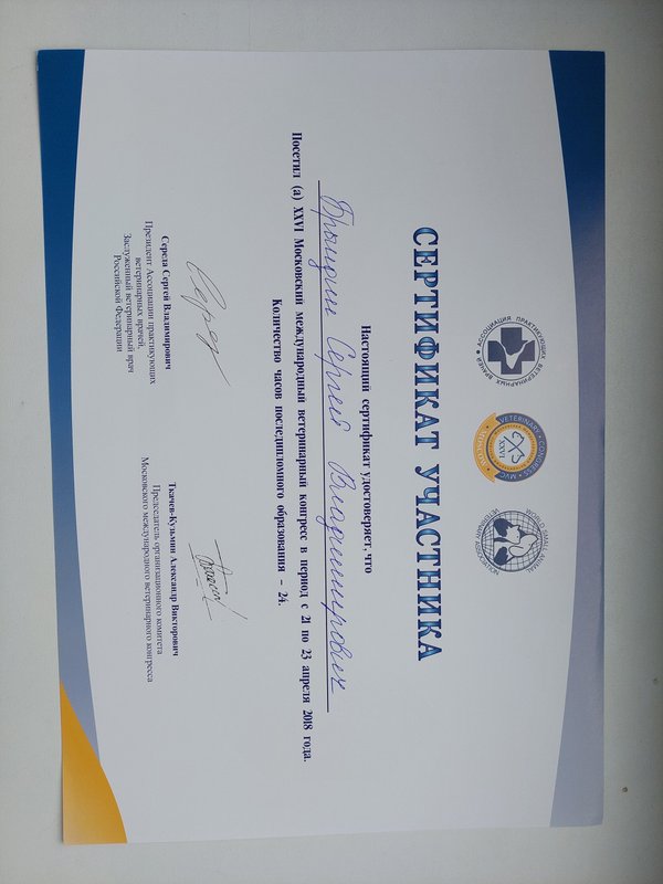 Документ или сертификат