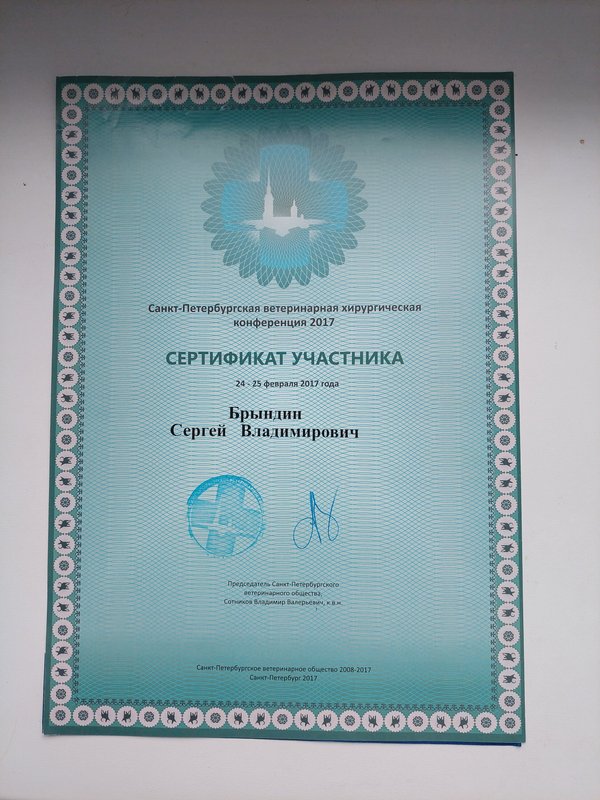 Документ или сертификат