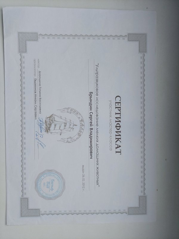 Документ или сертификат
