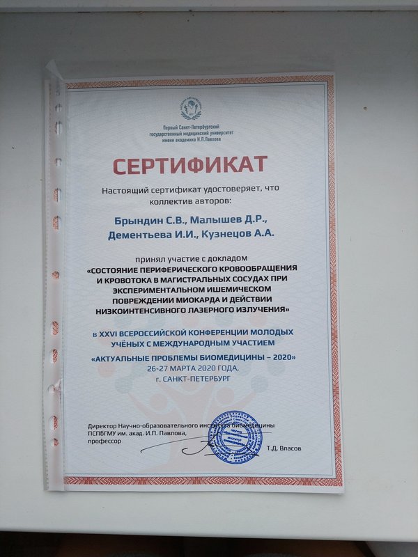 Документ или сертификат