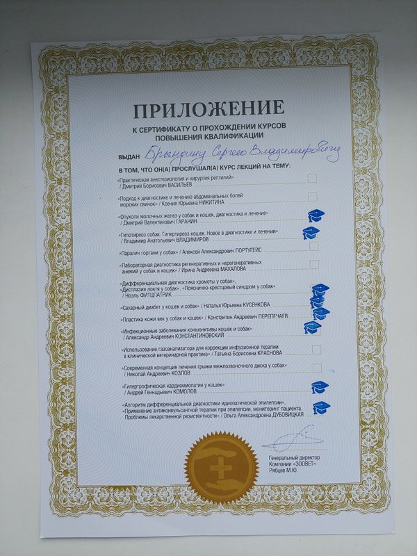 Документ или сертификат