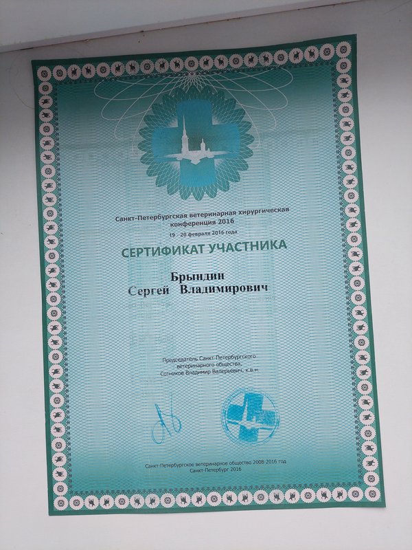 Документ или сертификат