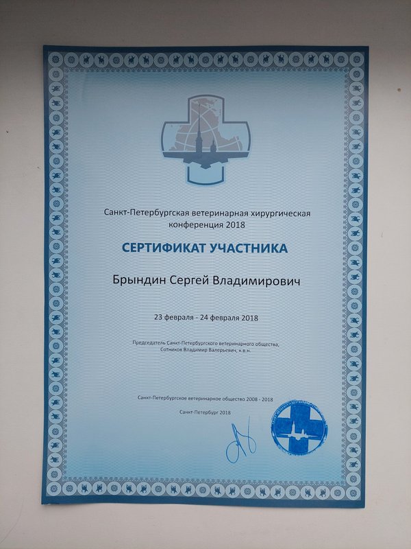 Документ или сертификат