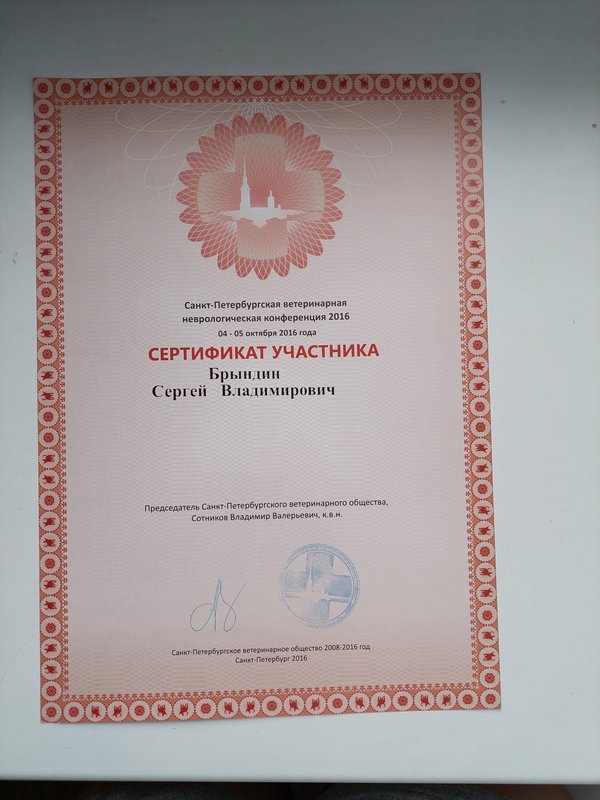Документ или сертификат