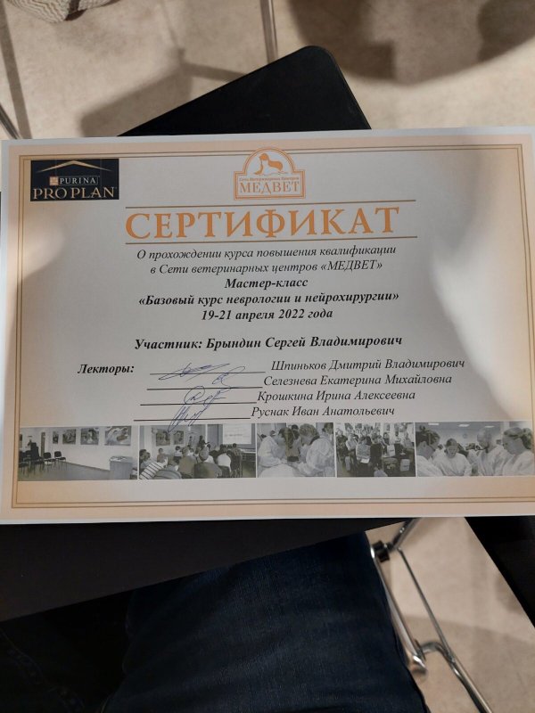 Документ или сертификат