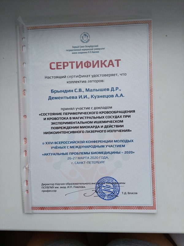 Документ или сертификат