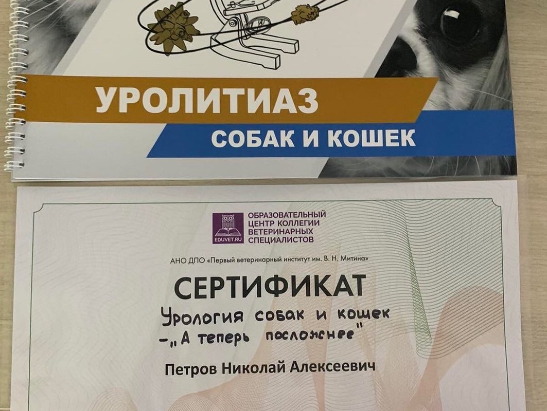 Документ или сертификат
