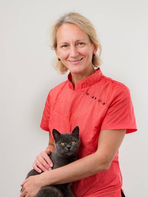 Фото врача Титова Светлана Анатольевна