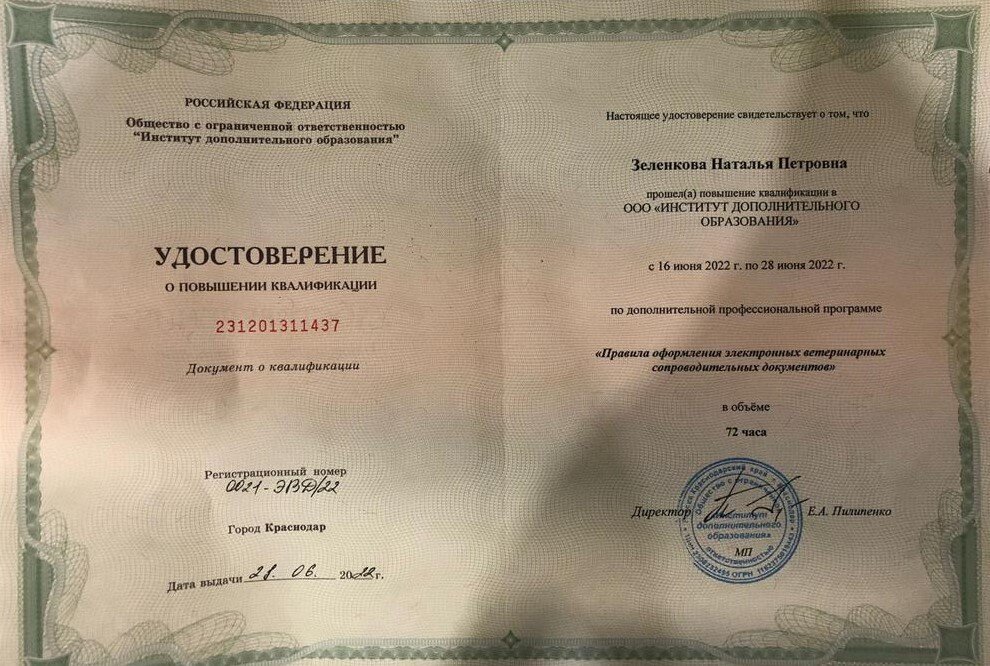 Документ или сертификат